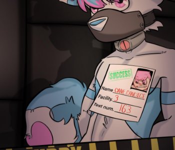 A Furry Change & New Life Changes Porn Comics